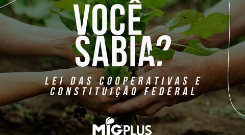 Você sabia? Lei das Cooperativas e Constituição Federal