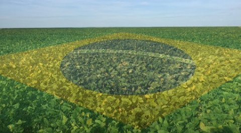 Agricultores estão entre as 5 profissões essenciais...