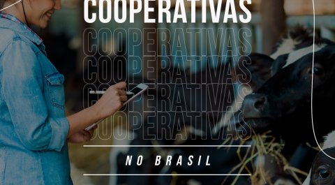 Dia do Cooperativismo