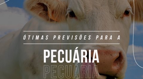 Previsões para a pecuária 