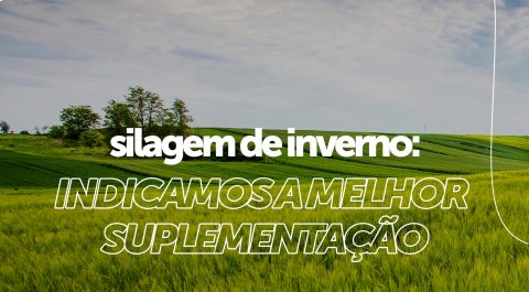 Suplementação para silagem de inverno