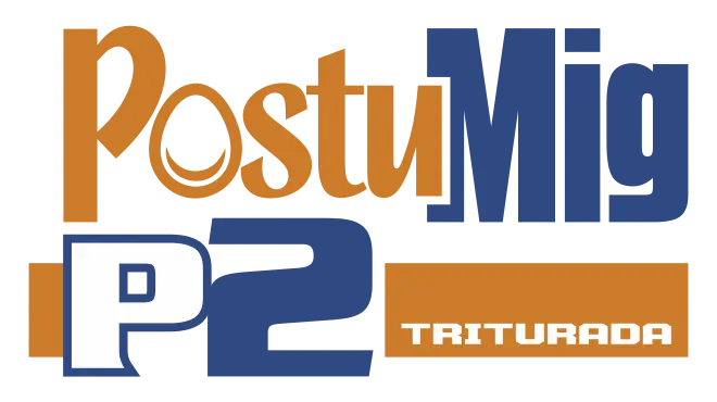 POSTUMIG P2 T